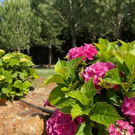 Apartman Quinta Da Alquimia